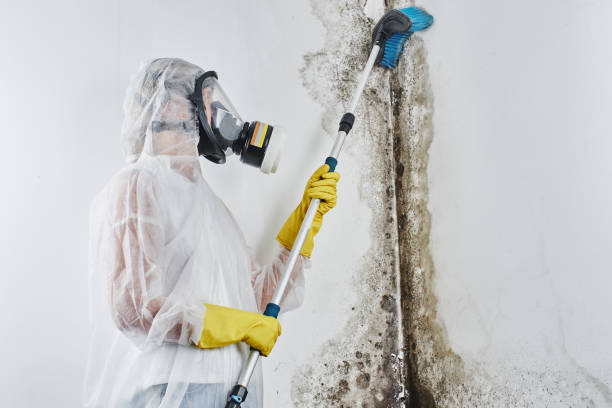 Best Crawl Space Mold Removal  in Trenton, OH