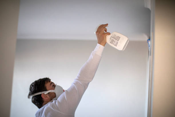 Best Mold Remediation  in Trenton, OH