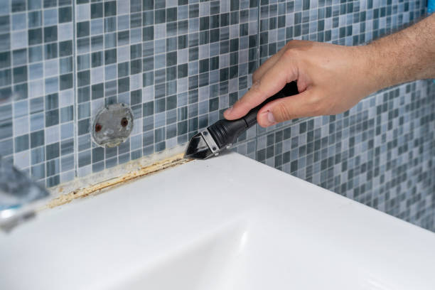 Best Residential Mold Removal  in Trenton, OH