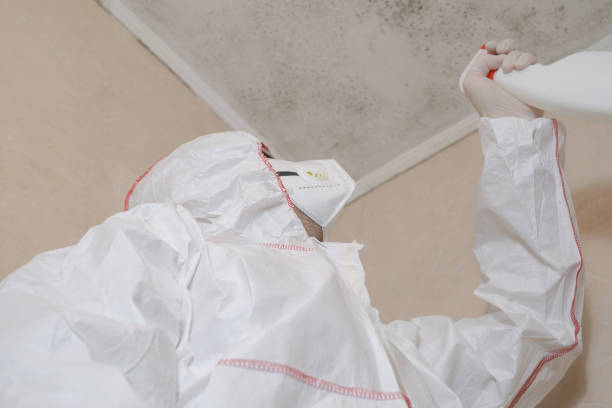 Professional Mold Removal in Trenton, OH