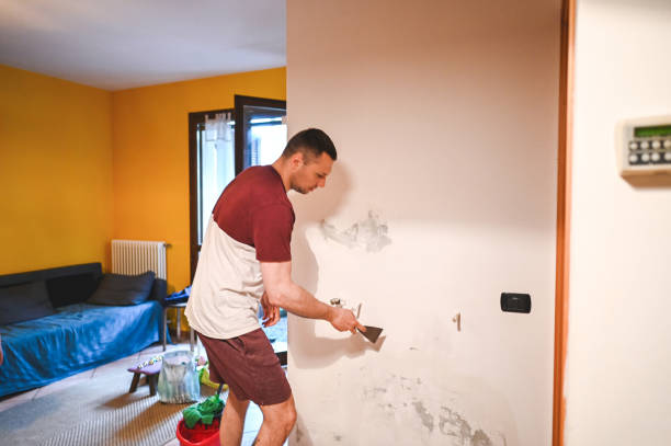 Best Mold Testing and Removal  in Trenton, OH