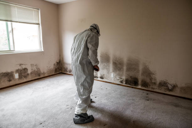 Best Mold Testing  in Trenton, OH