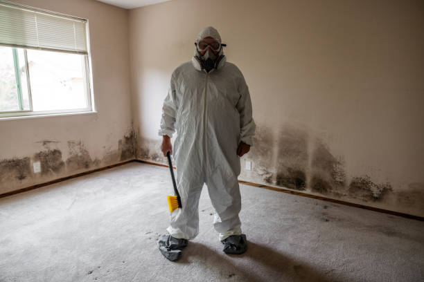 Best Mold Cleaning Services  in Trenton, OH