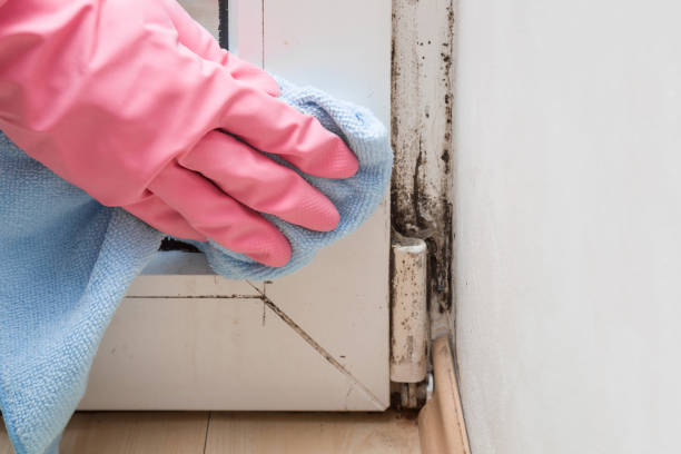 Best Mold Testing  in Trenton, OH